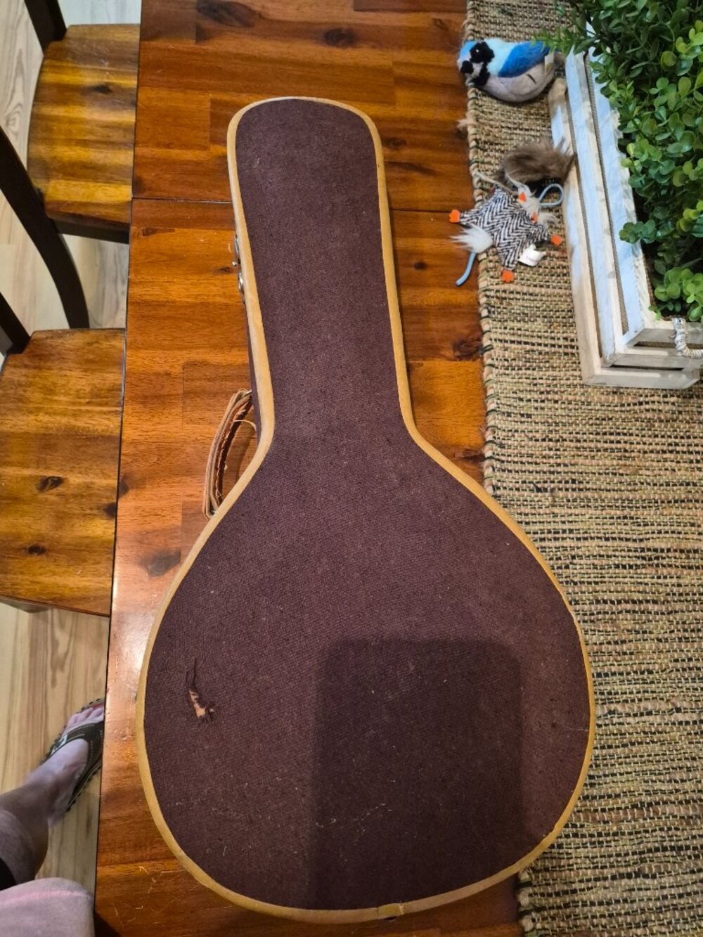 Vintage Spanish Bandurria from 1920s sounds amazing over 100years old - Picture 9 of 13